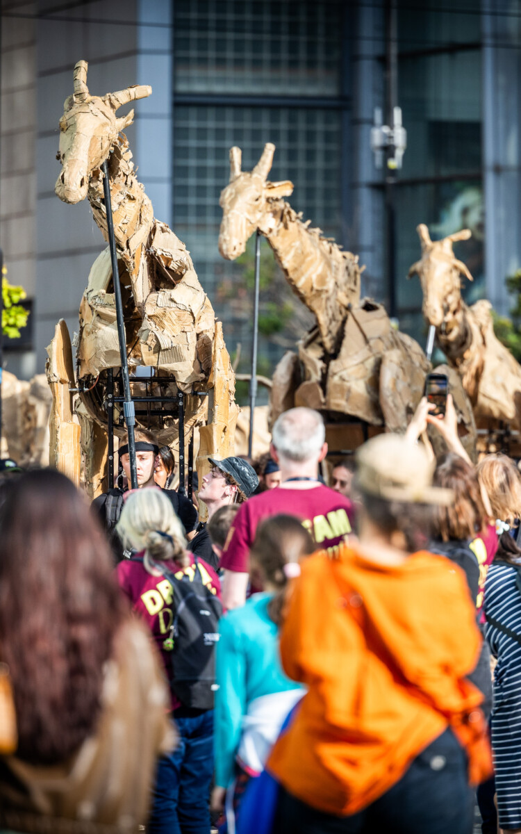 C The Walk Productions Photography by Darren Robinson Manchester 11